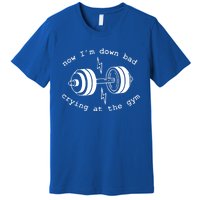 Now IM Down Bad Crying At The Gym Funny Workout Gift Premium T-Shirt