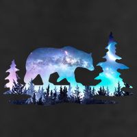 Night Sky Wilderness Bear Garment-Dyed Heavyweight T-Shirt