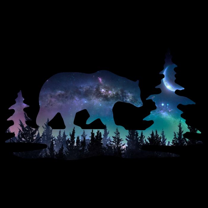 Night Sky Wilderness Bear Mug