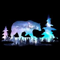 Night Sky Wilderness Bear Drawstring Bag