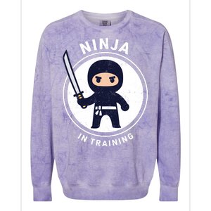 Ninja In Training Sword Colorblast Crewneck Sweatshirt