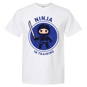 Ninja In Training Sword Garment-Dyed Heavyweight T-Shirt