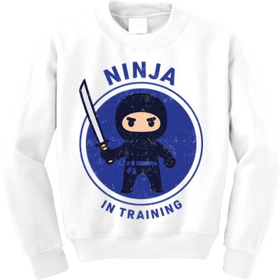 Ninja In Training Sword Kids Sweatshirt