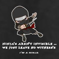 Ninjas Aren't Invisible Leave No Witnesses Adult Drive Performance Visor