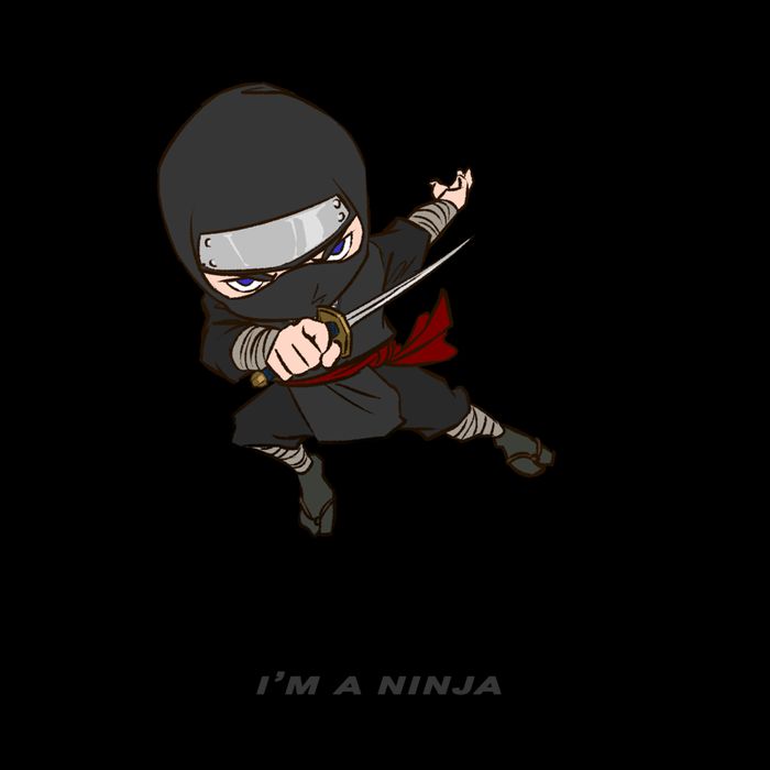 Ninjas Aren't Invisible Leave No Witnesses Mug