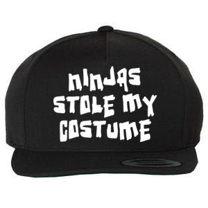 Ninjas Stole My Costume Halloween Wool Snapback Cap