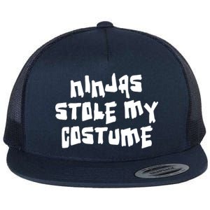 Ninjas Stole My Costume Halloween Flat Bill Trucker Hat