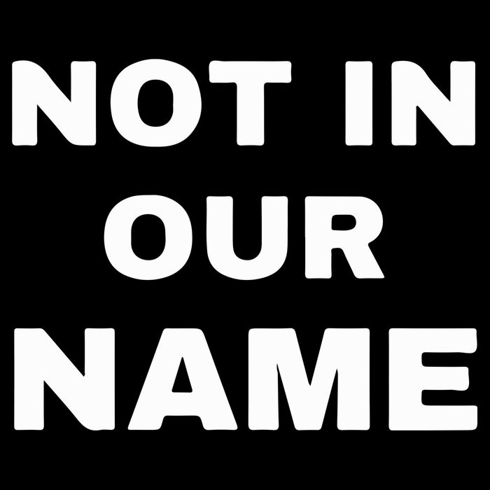 Not In Our Name Cooling Performance Long Sleeve Crew