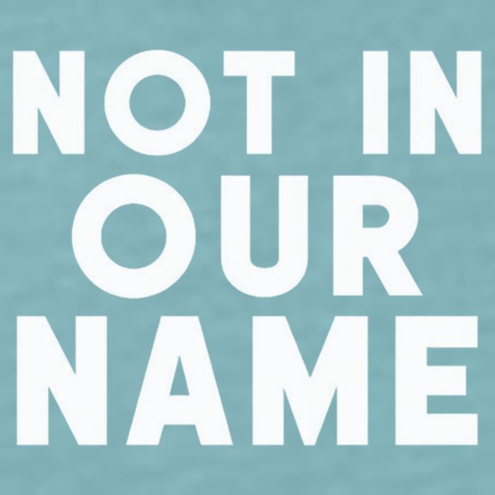Not In Our Name Free Gaza Stop War In Palestine Sueded Cloud Jersey T-Shirt