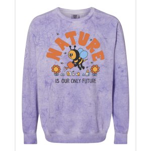 Nature Is Our Only Future Earth Day Bee Colorblast Crewneck Sweatshirt