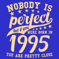 Nobody Is Perfect Born In 1995 30th Birthday Womens T-Shirt