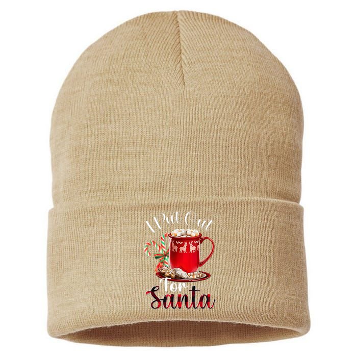 Naughty I Put Out For Santa Christmas Xmas Sustainable Knit Beanie
