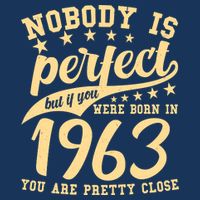 Nobody Is Perfect Born In 1963 60th Birthday Performance Shirt