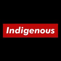 Native Indigenous Red Block Background With White Letters Button