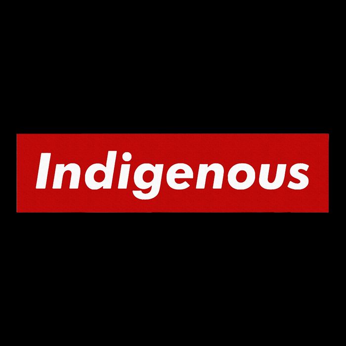Native Indigenous Red Block Background With White Letters Button