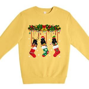 Newfoundland In Sock Xmas Reindeer Santa Elf Dog Gift Premium Crewneck Sweatshirt