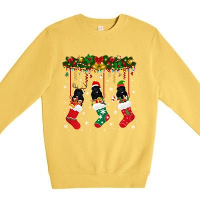 Newfoundland In Sock Xmas Reindeer Santa Elf Dog Gift Premium Crewneck Sweatshirt