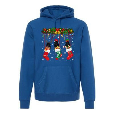 Newfoundland In Sock Xmas Reindeer Santa Elf Dog Gift Premium Hoodie