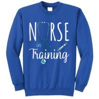 Nurse In Training Nursing School Stethoscope Future Nurse Gift Sweatshirt