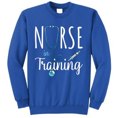 Nurse In Training Nursing School Stethoscope Future Nurse Gift Sweatshirt