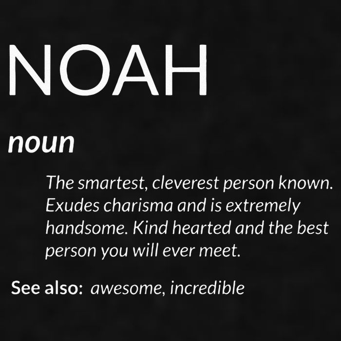 Noah Is The Best Funny Name Definition Noah Ladies PosiCharge Tri-Blend Wicking Tank