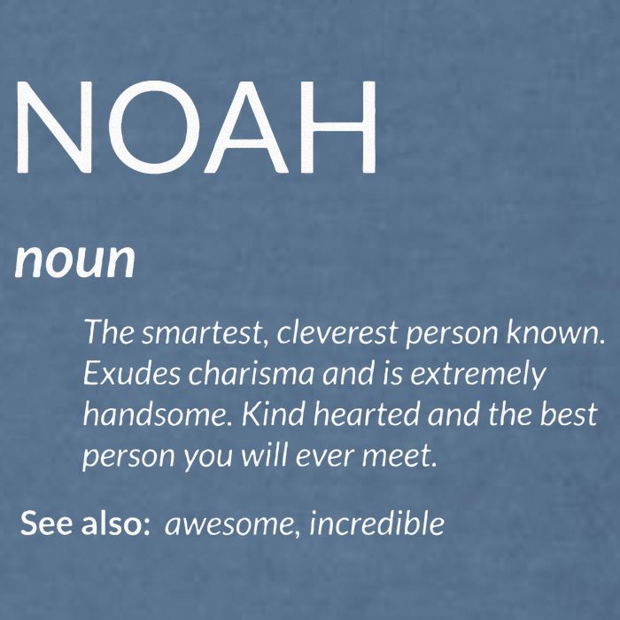 Noah Is The Best Funny Name Definition Noah Garment-Dyed Sweatshirt