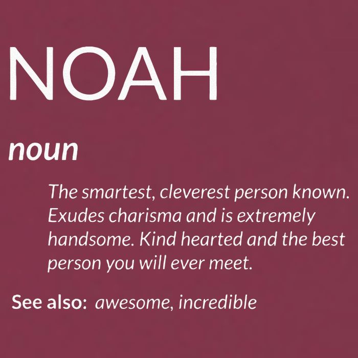 Noah Is The Best Funny Name Definition Noah 16oz Travel Tumbler