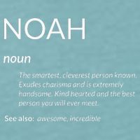 Noah Is The Best Funny Name Definition Noah Sueded Cloud Jersey T-Shirt