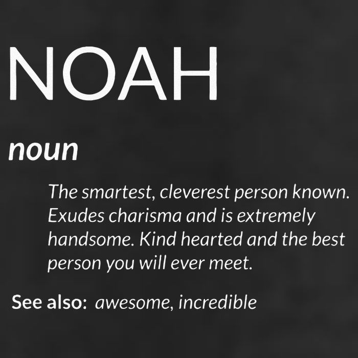 Noah Is The Best Funny Name Definition Noah 7 Panel Mesh Trucker Snapback Hat