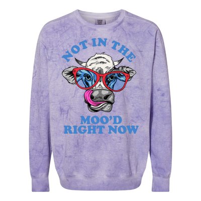 Not In The Mood Right Now Funny Cow Colorblast Crewneck Sweatshirt