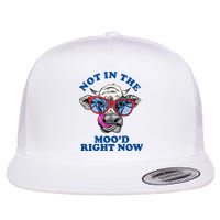 Not In The Mood Right Now Funny Cow Flatbill Hat