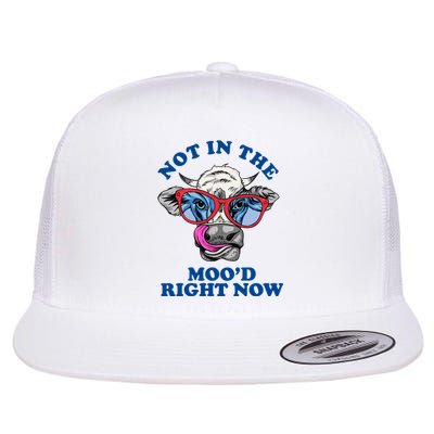 Not In The Mood Right Now Funny Cow Flat Bill Trucker Hat