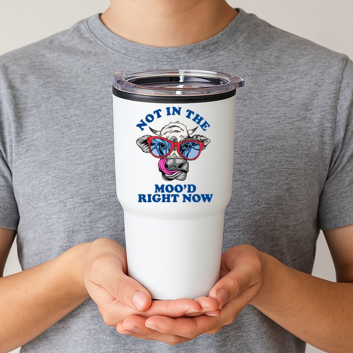 Not In The Mood Right Now Funny Cow Tumbler