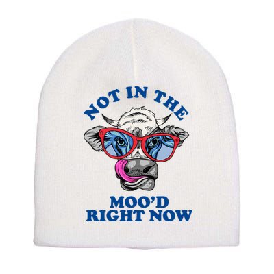 Not In The Mood Right Now Funny Cow Short Acrylic Beanie
