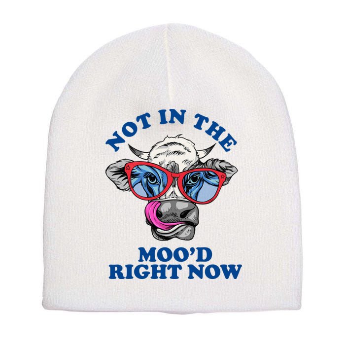 Not In The Mood Right Now Funny Cow Short Acrylic Beanie