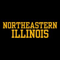 Northeastern Illinois University Button