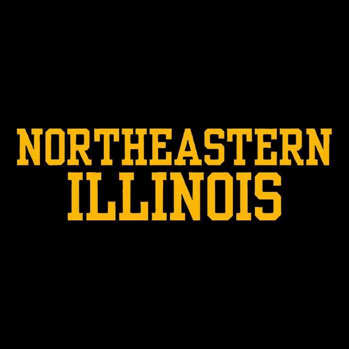 Northeastern Illinois University Button