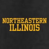 Northeastern Illinois University Large Microfiber Waffle Golf Towel