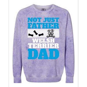 Not Just A Father Welsh Terrier Dad Fun Dog Owner Design Meaningful Gift Colorblast Crewneck Sweatshirt