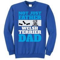 Not Just A Father Welsh Terrier Dad Fun Dog Owner Design Meaningful Gift Tall Sweatshirt