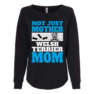 Not Just A Mother Welsh Terrier Mom Fun Dog Owner Design Gift Womens California Wash Sweatshirt