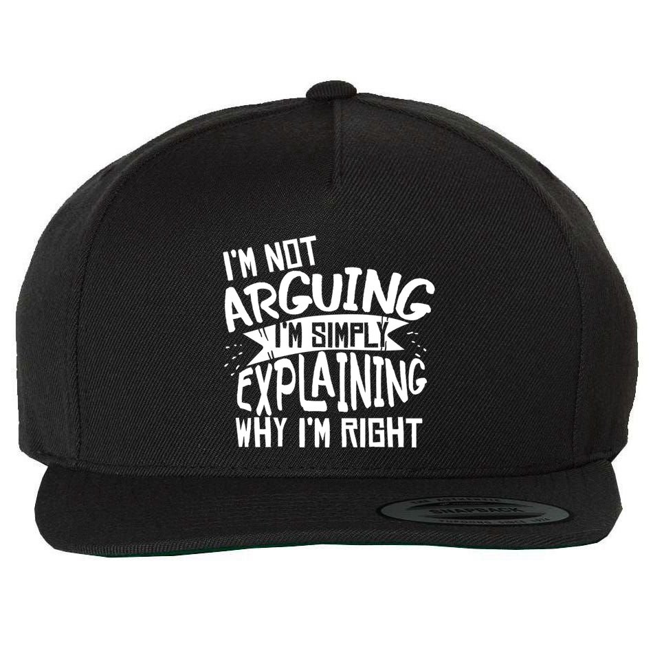 Novelty Joke Hoodie | Im Not Arguing Im Explaining Hoodie Wool Snapback Cap