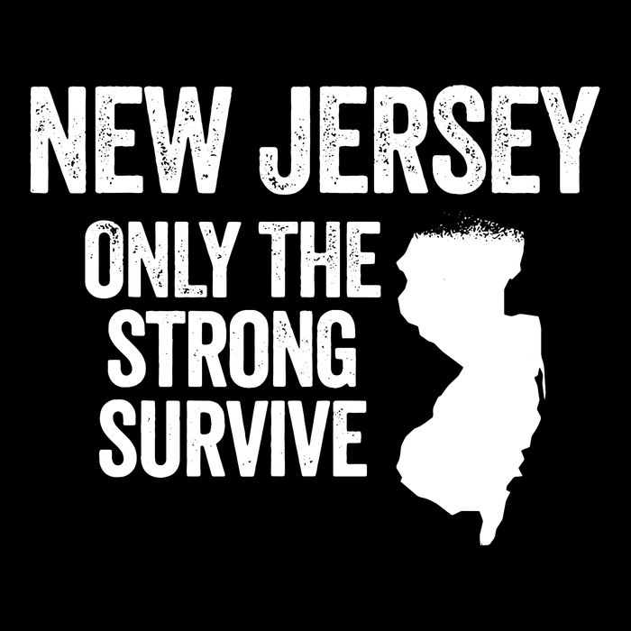 New Jersey Only The Strong Survive Funny Stripe Pom Pom Beanie
