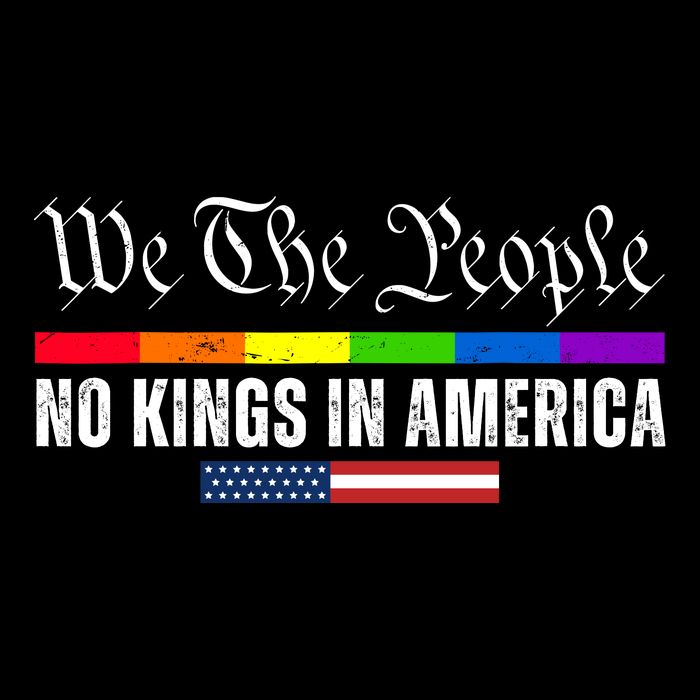 No Kings In America We The People Political Premium T-Shirt
