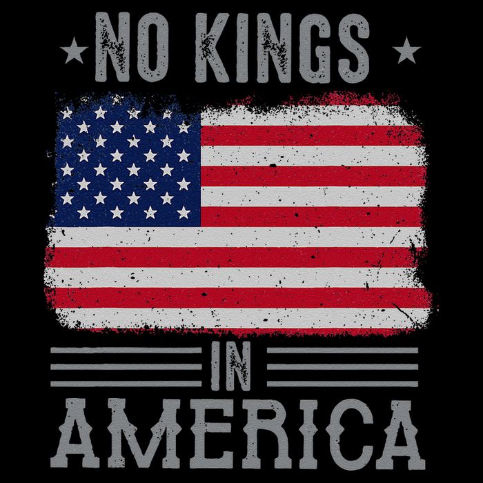 No Kings In America Flag Protest Save Democracy Premium T-Shirt