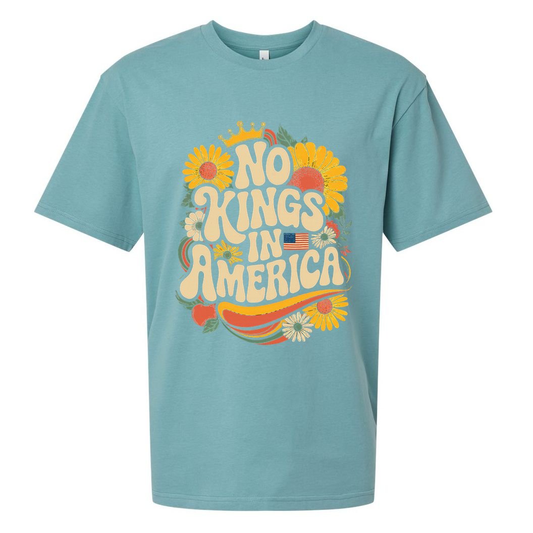  No King In American Democracy  Sueded Cloud Jersey T-Shirt