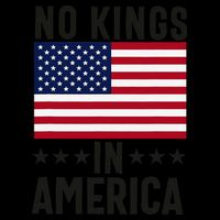 No Kings In America Flag Protest Save Democracy Drawstring Bag