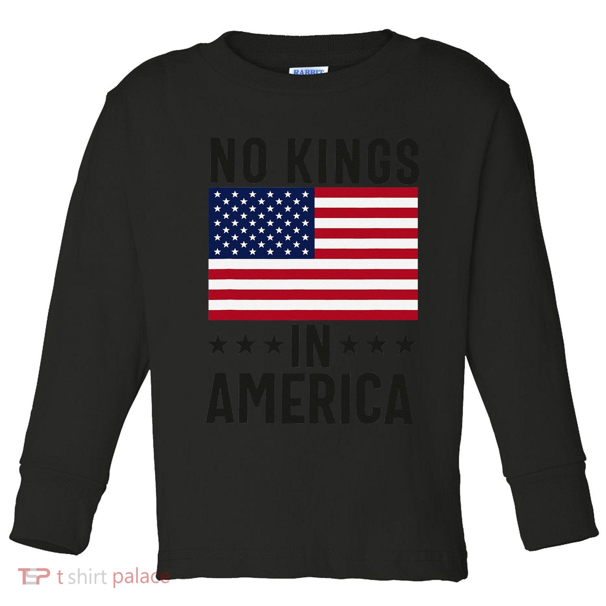 No Kings In America Flag Protest Save Democracy Toddler Long Sleeve Shirt