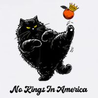 No Kings In America We The People Political  Tall T-Shirt