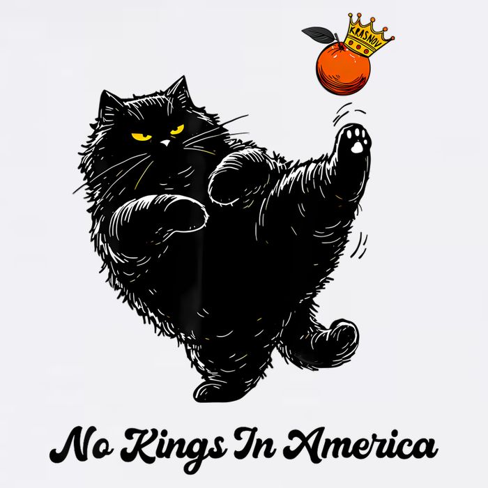 No Kings In America We The People Political  Tall T-Shirt